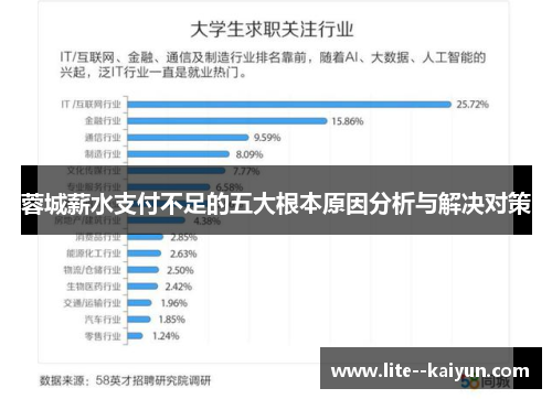 蓉城薪水支付不足的五大根本原因分析与解决对策